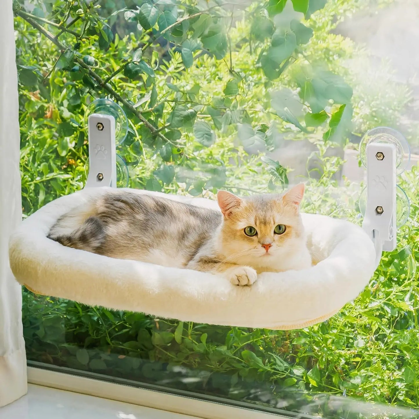 Mewoofun Foldable Cat Window Perch With Suction Cups Removable Cover