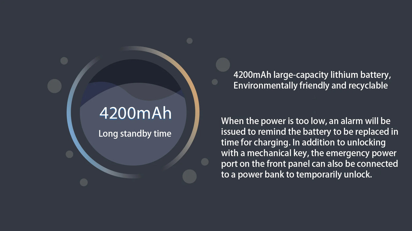 YKESDLC Waterproof Outdoor Smart Lock Fingerprint Alexa Camera WiFi